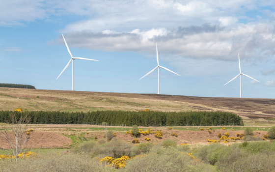 Kirkton photomontage 1